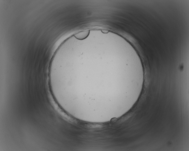 X0000115821431200912241926