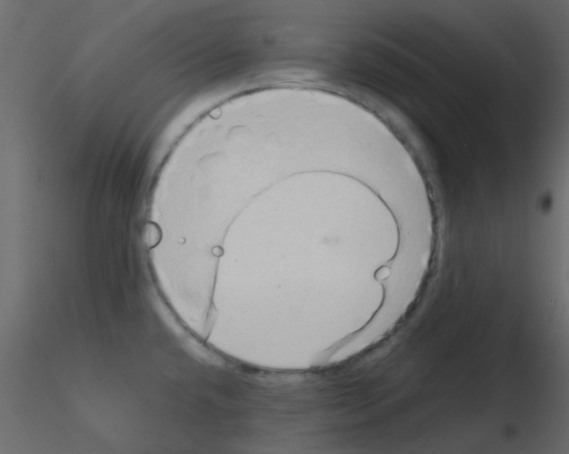 X0000115821432200912241926