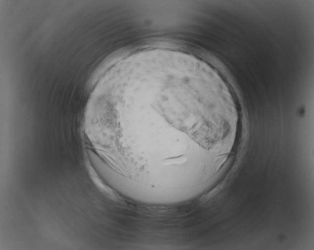 X0000115821433200912241926