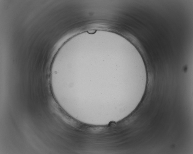 X0000115821435200912241926