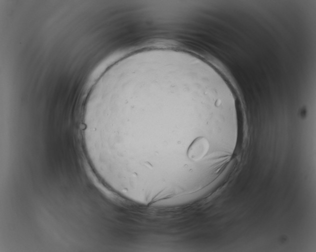 X0000115821437200912241926