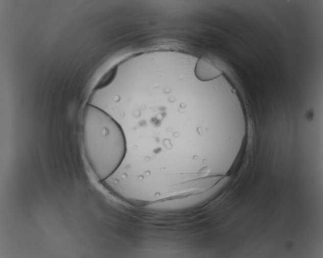 X0000115821439200912241926