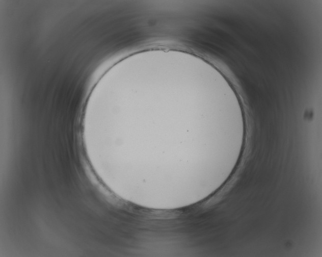 X0000115821440200912241926