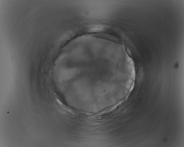 X0000115821441200912241925