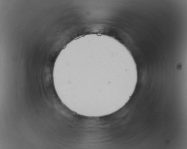 X0000115821442200912241925