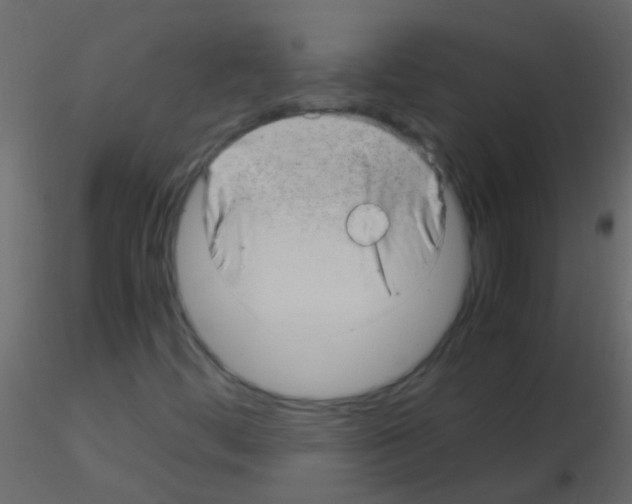 X0000115821444200912241925