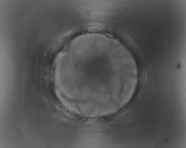 X0000115821445200912241925