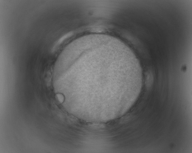 X0000115821446200912241925