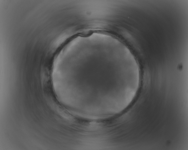 X0000115821449200912241925