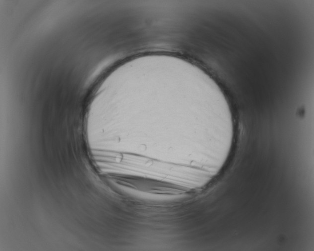 X0000115821450200912241925