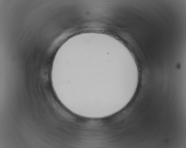 X0000115821451200912241925