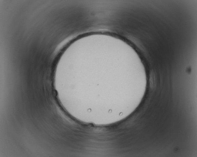 X0000115821452200912241925