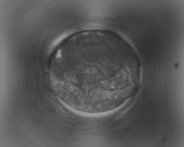 X0000115821453200912241925