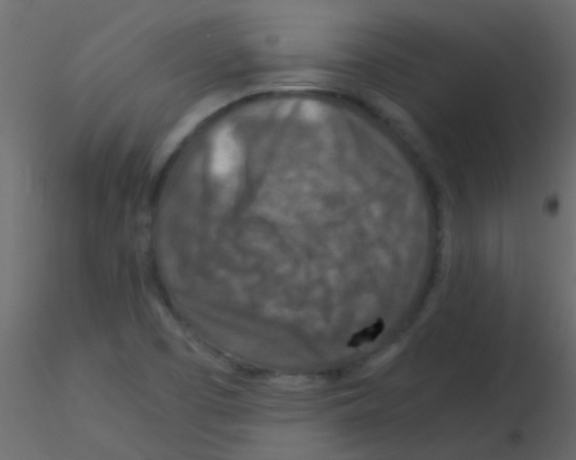 X0000115821457200912241925