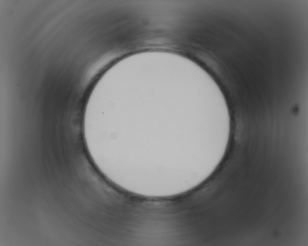 X0000115821458200912241925