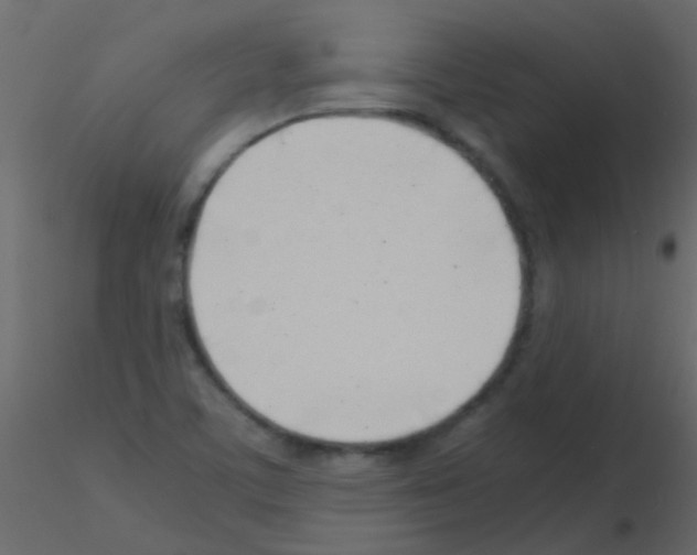 X0000115821459200912241925