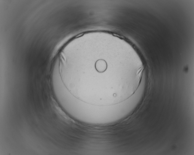 X0000115821460200912241925