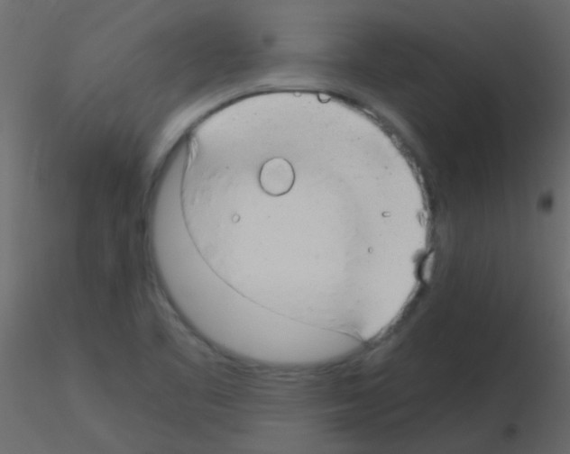 X0000115821461200912241925