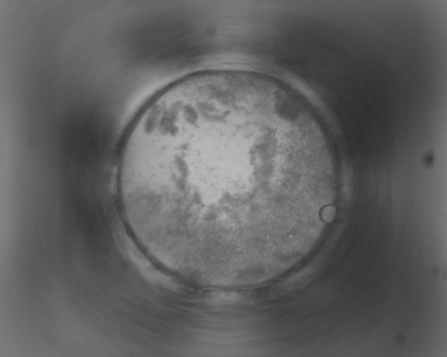 X0000115821462200912241925