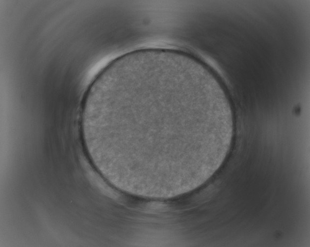 X0000115821463200912241925