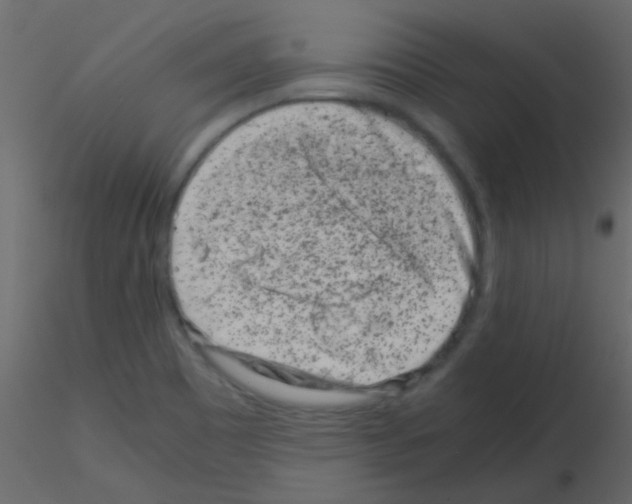 X0000115821465200912241925