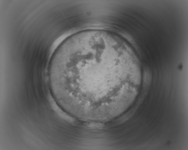 X0000115821466200912241925