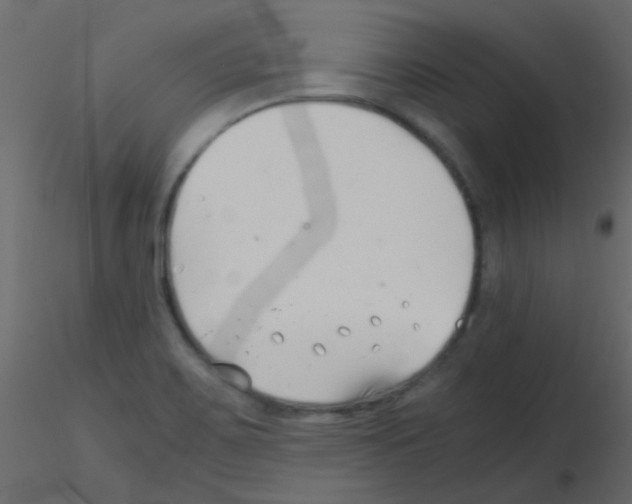 X0000115821467200912241925