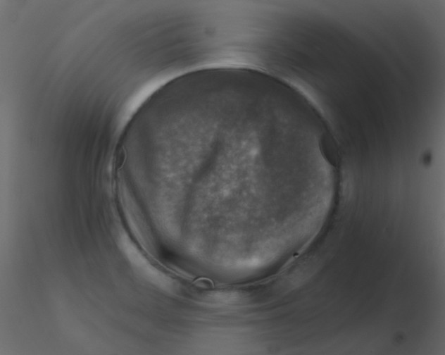 X0000115821468200912241925