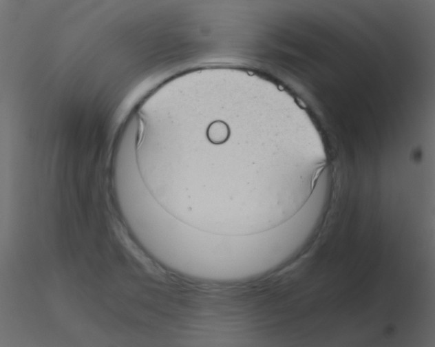 X0000115821469200912241925