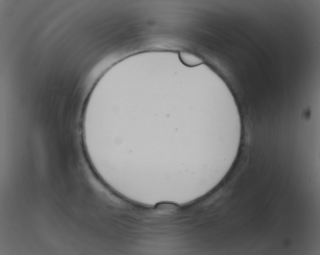 X0000115821471200912241925