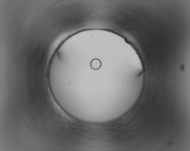 X0000115821472200912241925