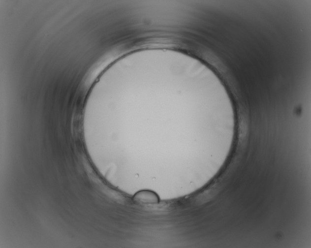 X0000115821473200912241925