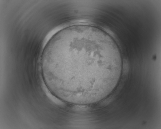 X0000115821474200912241925