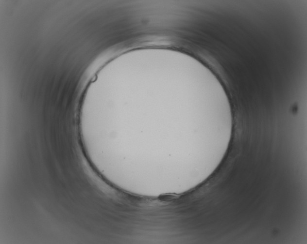 X0000115821475200912241925