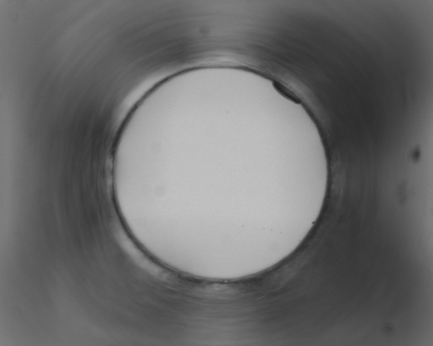 X0000115821476200912241925