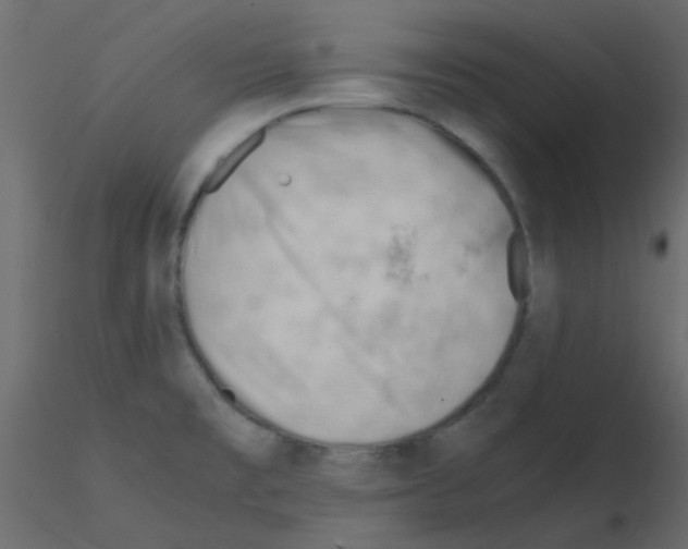 X0000115821477200912241925