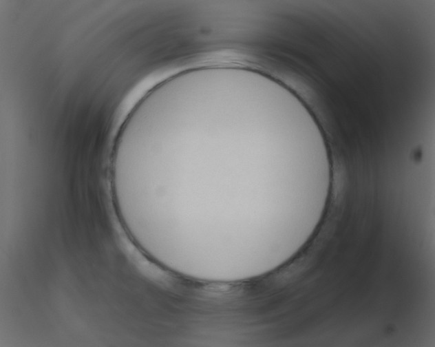 X0000115821478200912241925