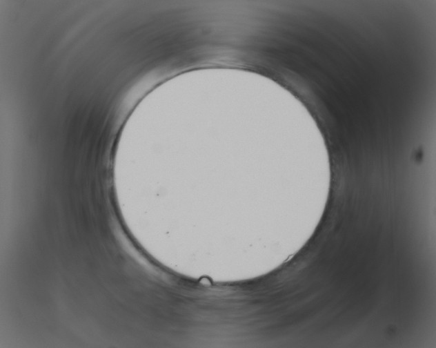 X0000115821479200912241925