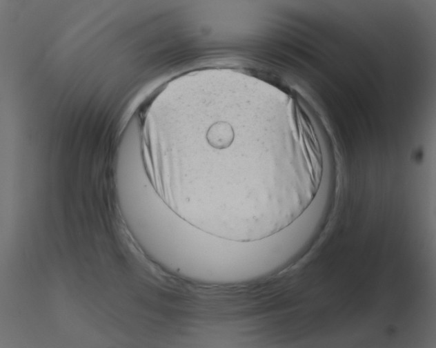 X0000115821481200912241924