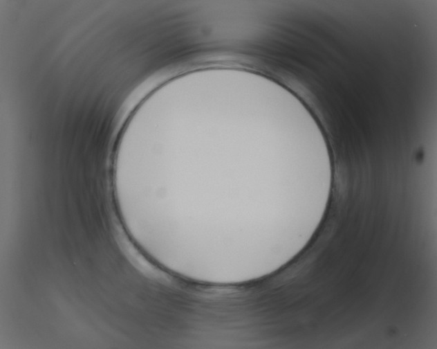 X0000115821482200912241924