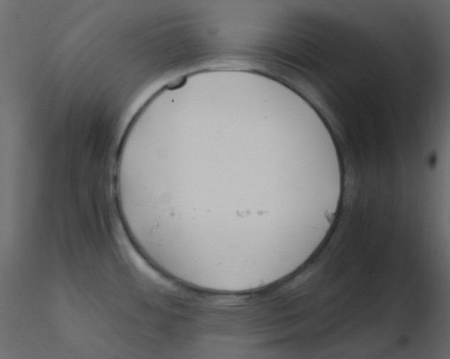 X0000115821484200912241924