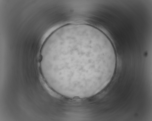 X0000115821485200912241924