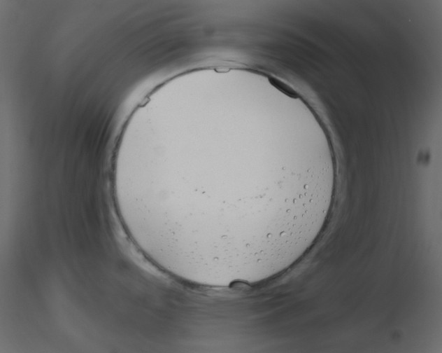 X0000115821488200912241924