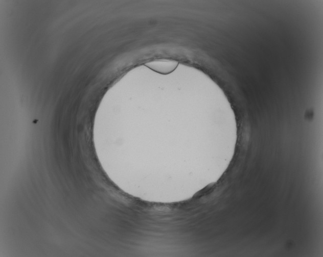 X0000115821489200912241924