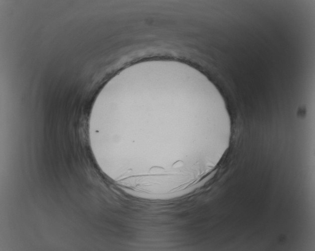 X0000115821490200912241924