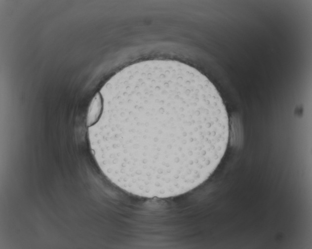 X0000115821491200912241924