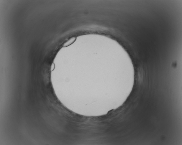 X0000115821493200912241924