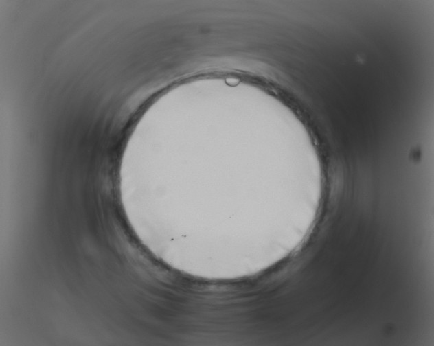 X0000115821497200912241924