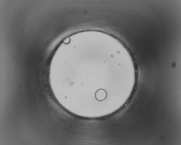 X0000115821502200912241924