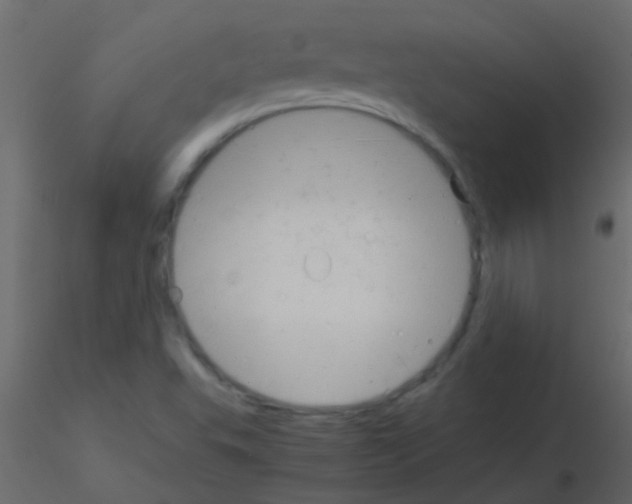 X0000115821503200912241924